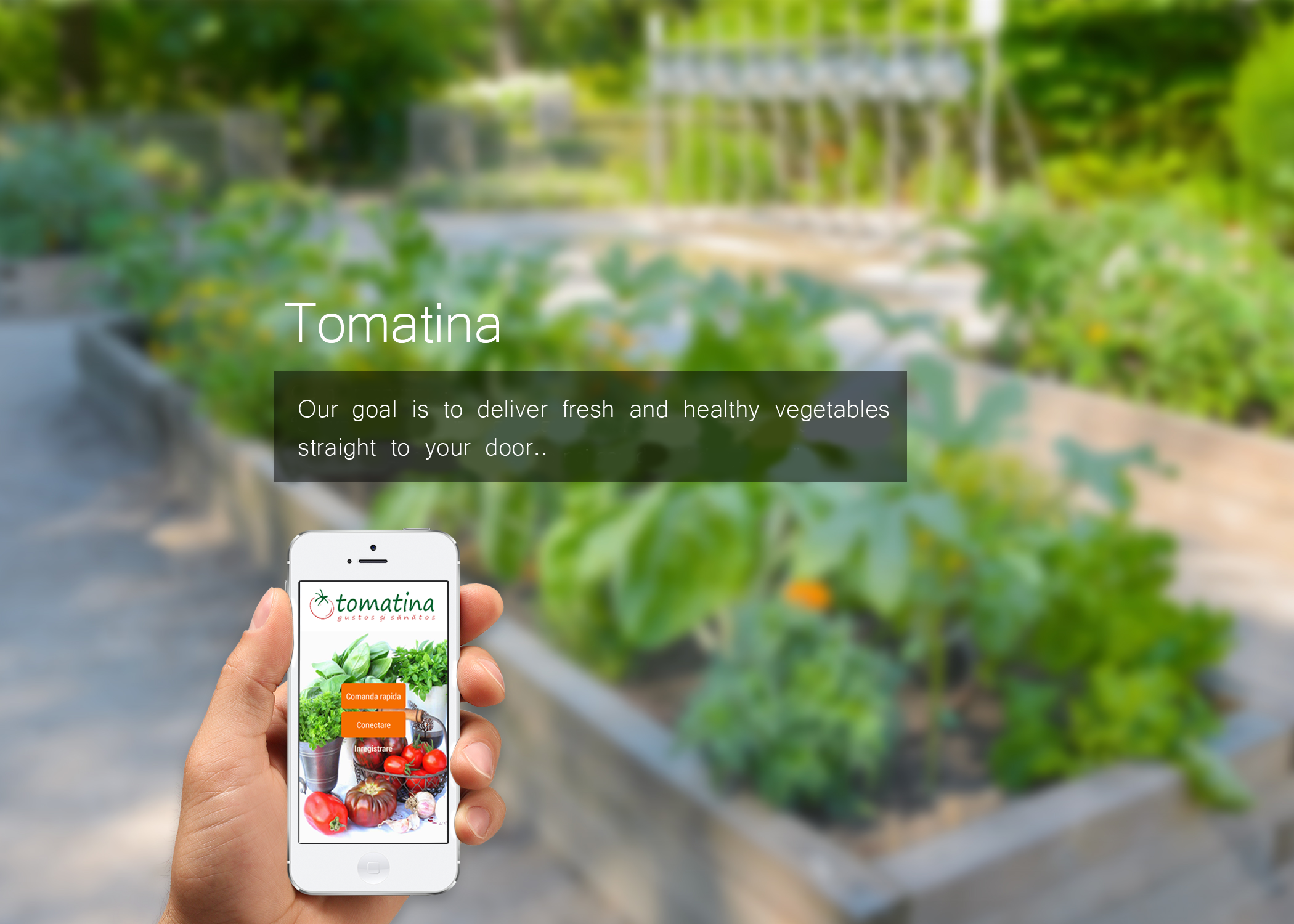 Tomatina app